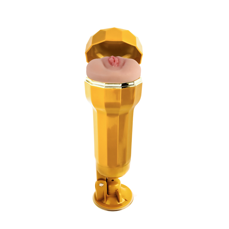 Золотая раковина Lara Realistic Cup Cup